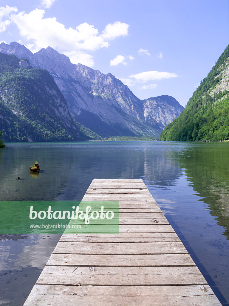 439154 - Königssee, Nationalpark Berchtesgaden, Deutschland