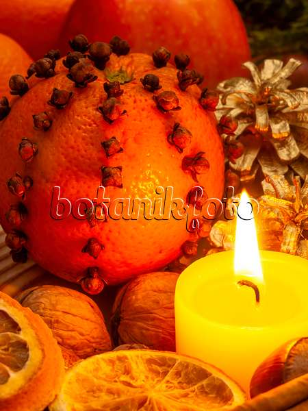 444096 - Orange (Citrus sinensis) und Gewürznelke (Syzygium aromaticum)
