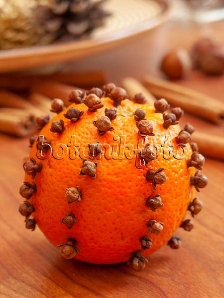 444104 - Orange (Citrus sinensis) und Gewürznelke (Syzygium aromaticum)