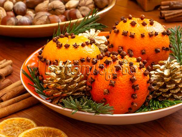 444106 - Orange (Citrus sinensis) und Gewürznelke (Syzygium aromaticum)