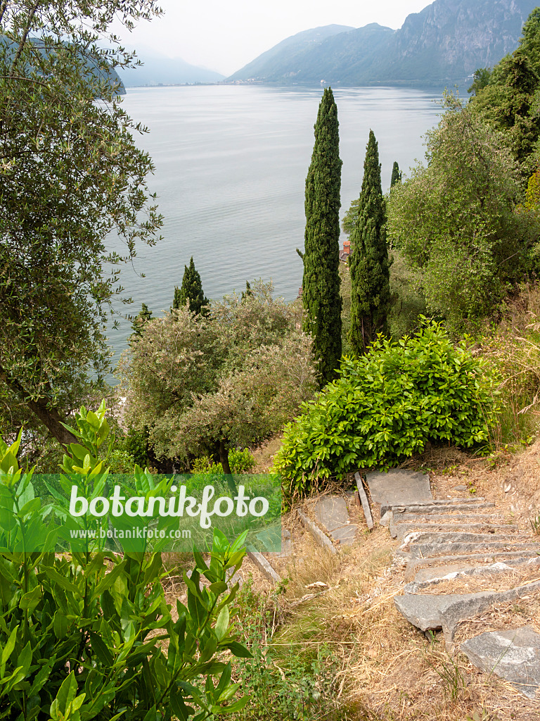 414124 - Parco degli Olivi am Lago di Lugano, Lugano, Schweiz