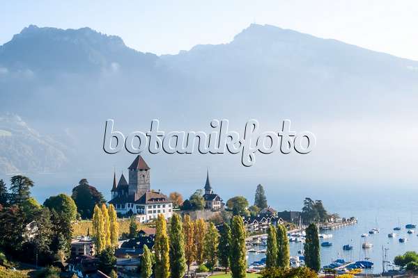 453188 - Schloss und Marina, Spiez, Schweiz