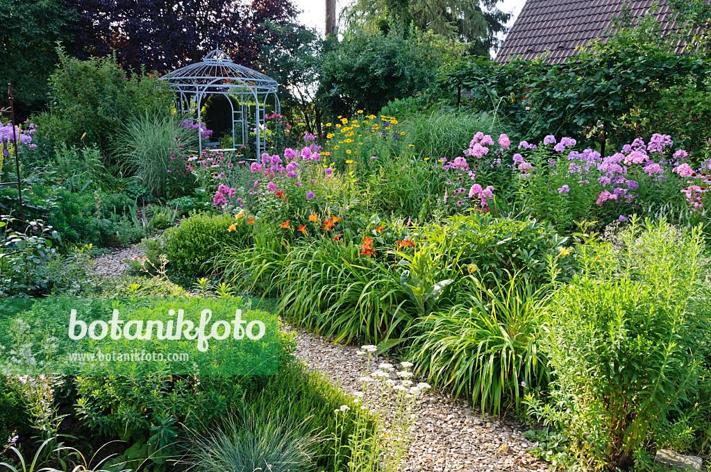 474446 - Taglilien (Hemerocallis), Staudenphlox (Phlox paniculata) und Sonnenauge (Heliopsis helianthoides)