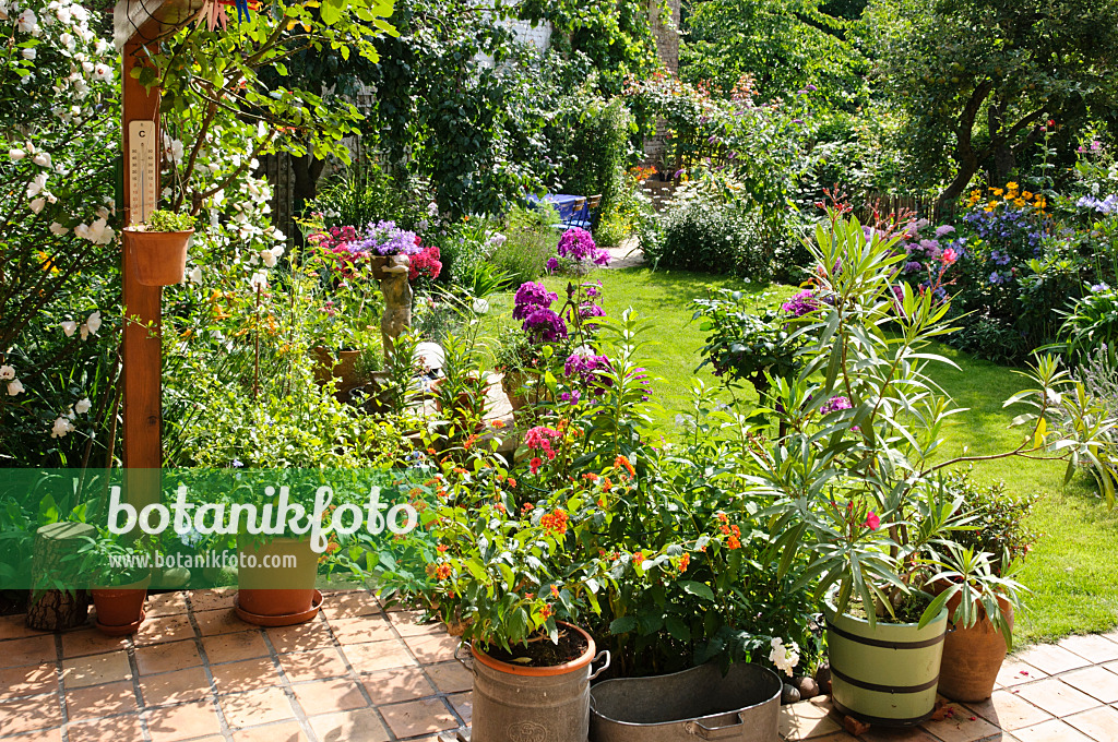 474338 - Terrasse mit Wandelröschen (Lantana camara) und Oleander (Nerium oleander)