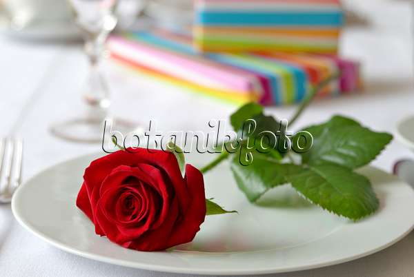 452163 - Tischdekoration mit roter Rose und Geschenken
