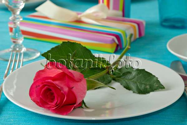 452165 - Tischdekoration mit roter Rose und Geschenken