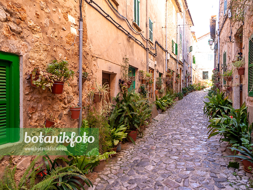 424049 - Valldemossa, Mallorca, Spanien