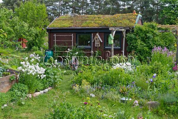 532026 - Abri de jardin avec toit vert dans un jardin naturel
