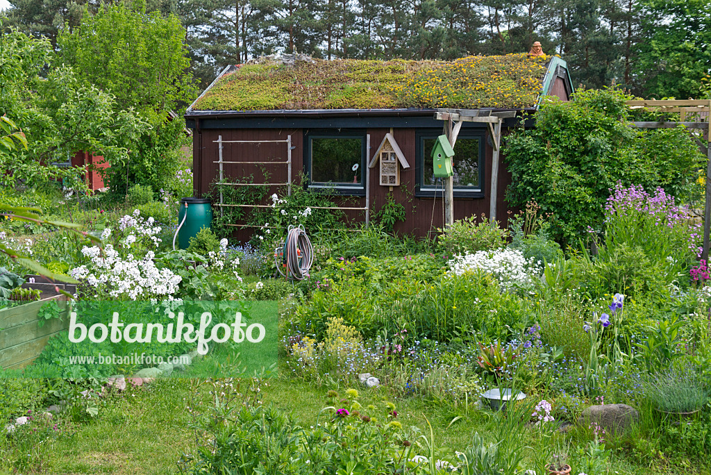 532026 - Abri de jardin avec toit vert dans un jardin naturel