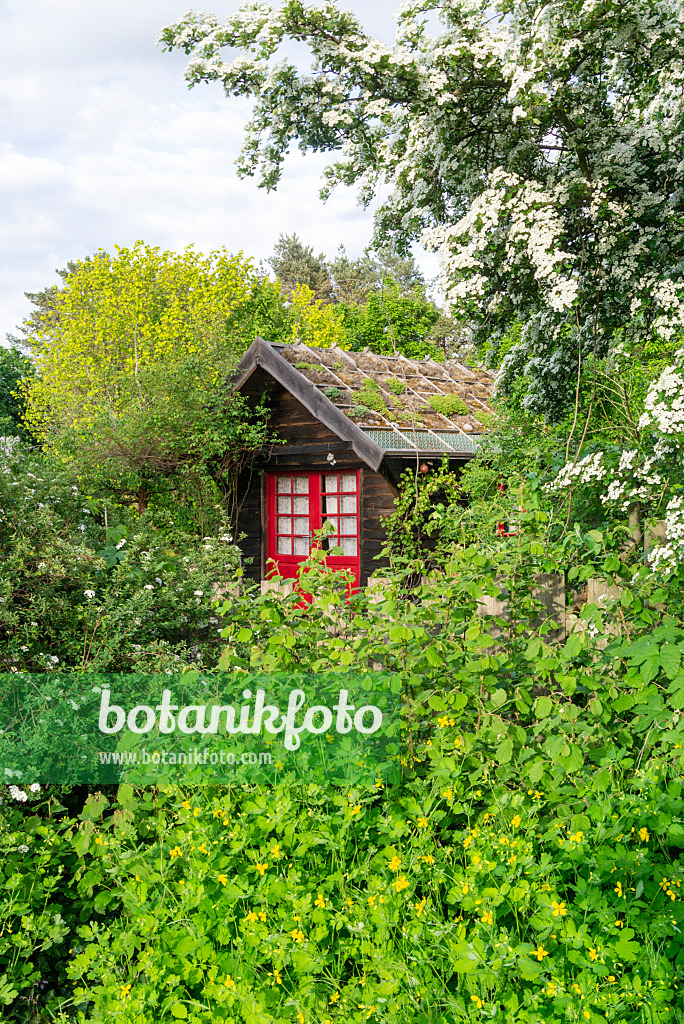 625079 - Abri de jardin avec toit vert dans un jardin naturel