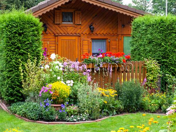 475246 - Abri de jardin en bois et parterres de fleurs dans un jardin familial