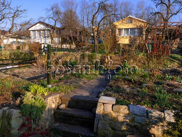 458008 - Allotment garden in winter