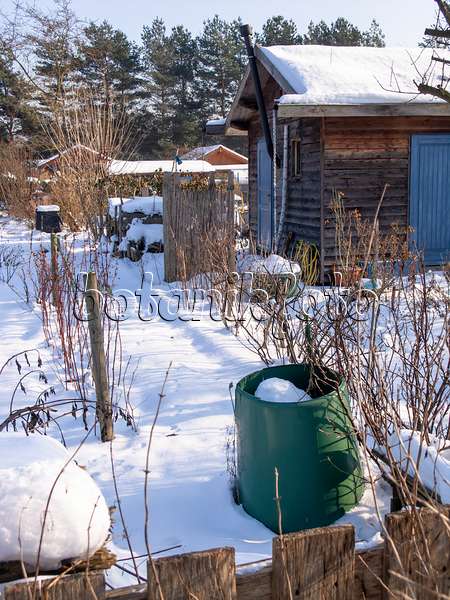 480031 - Allotment garden in winter