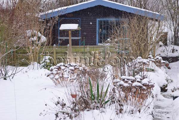 488153 - Allotment garden in winter