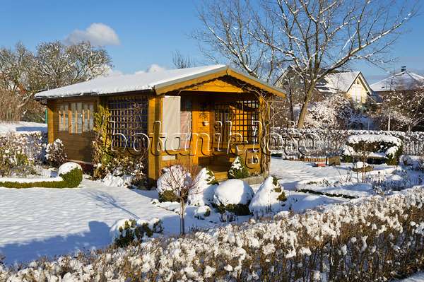 517055 - Allotment garden in winter