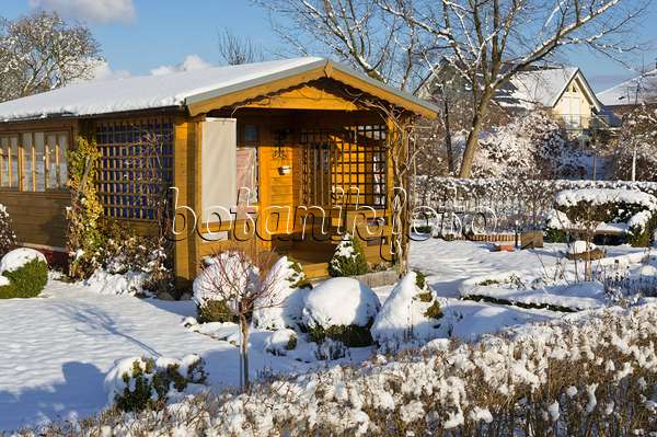517056 - Allotment garden in winter