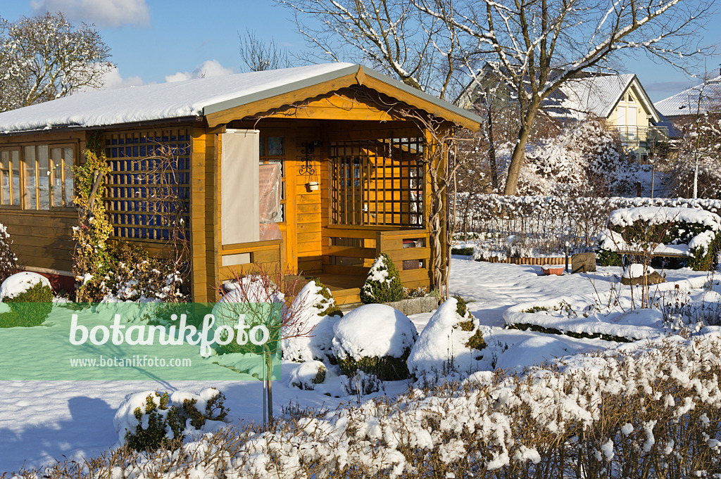 517056 - Allotment garden in winter