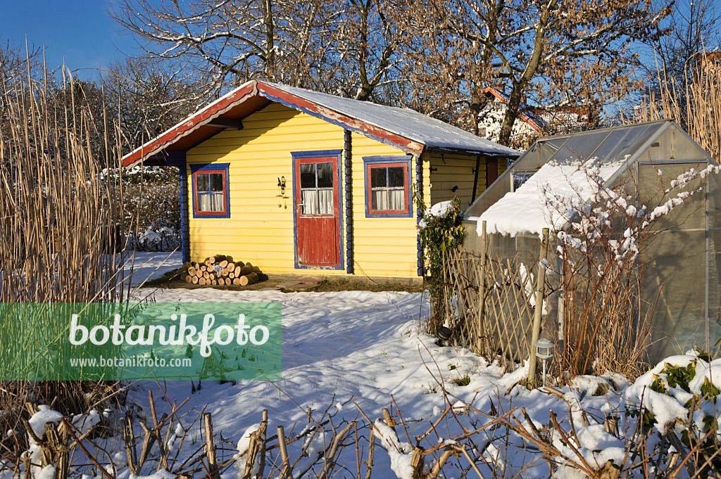 517057 - Allotment garden in winter