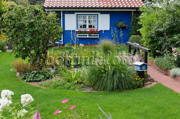 523082 - Allotment garden with blue garden house
