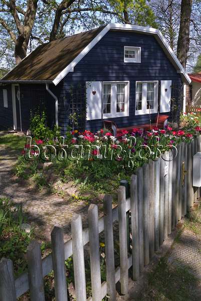 601038 - Allotment garden with blue garden house