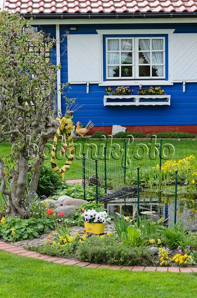 531085 - Allotment garden with blue garden house and garden pond