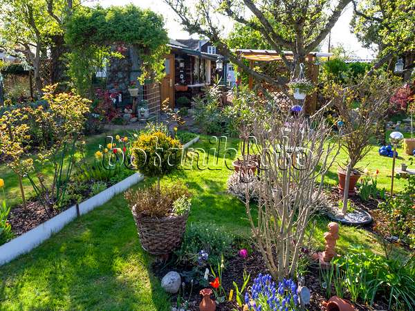 424143 - Allotment garden with potted plants