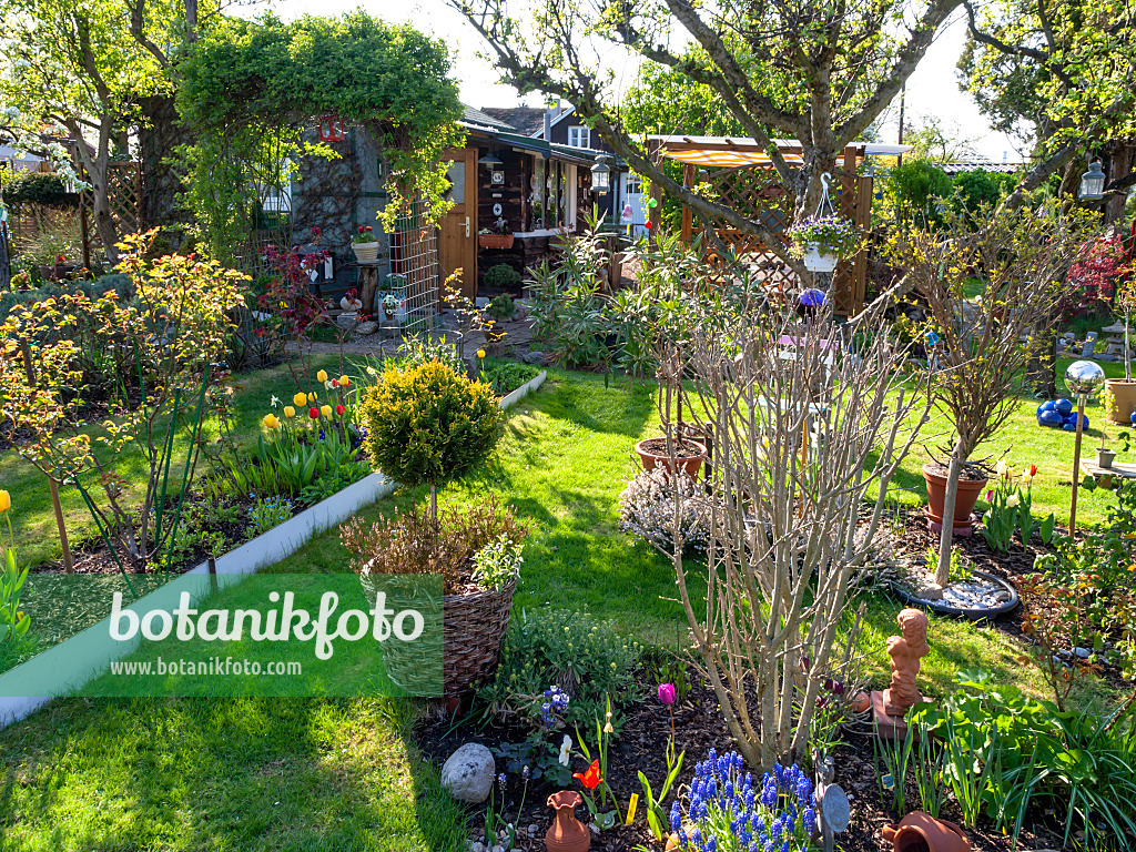 424143 - Allotment garden with potted plants