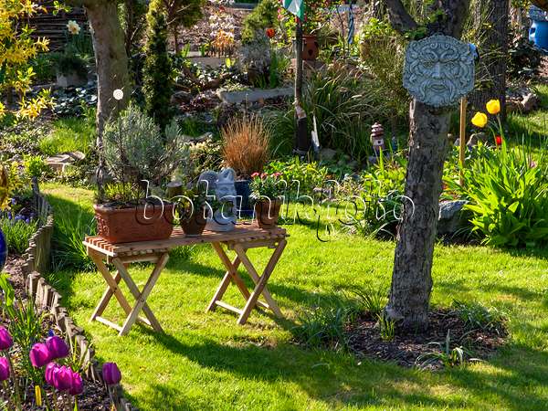424144 - Allotment garden with potted plants