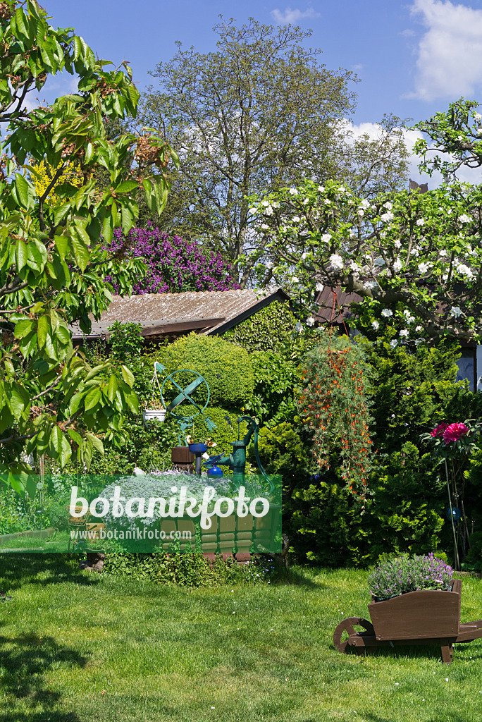 556109 - Allotment garden with sundial and beam pump