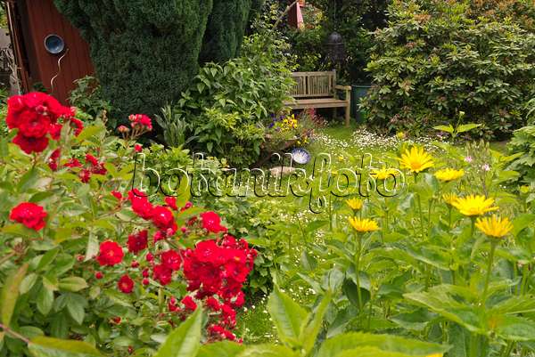 545170 - Allotment garden with wooden bench