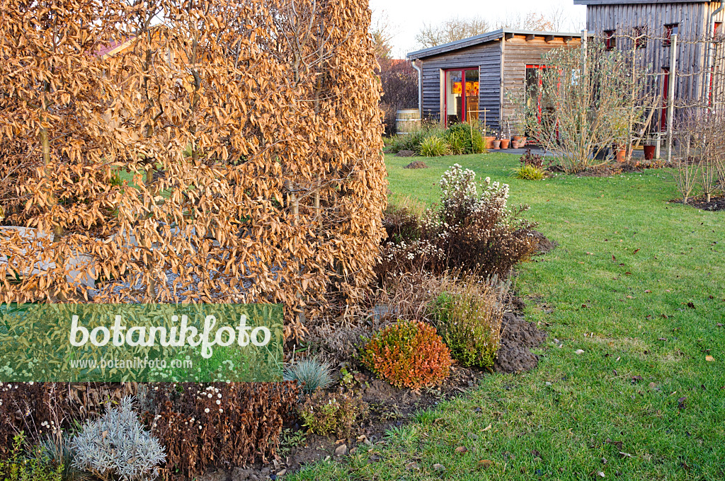 467060 - Autumnal allotment garden