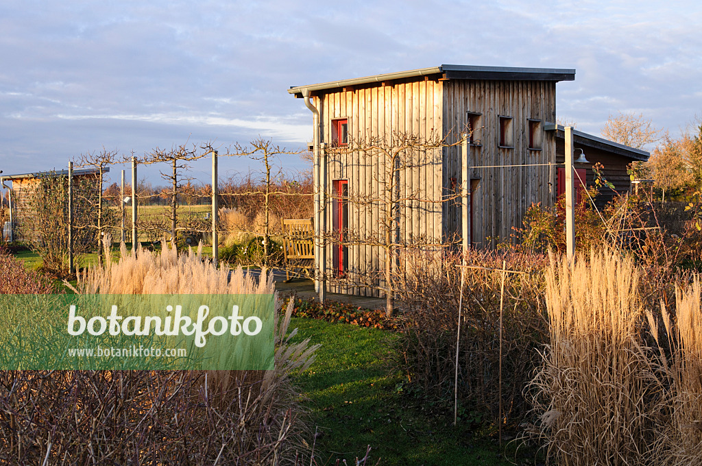 467062 - Autumnal allotment garden