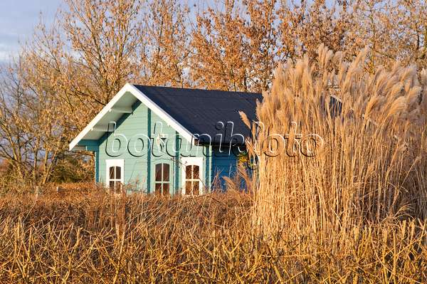 467063 - Autumnal allotment garden with blue garden house