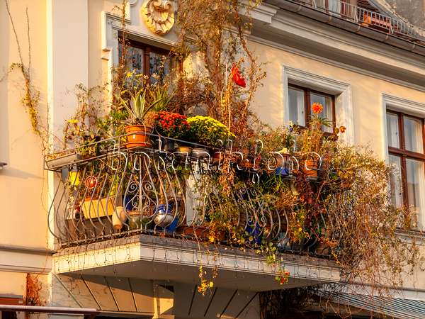442101 - Autumnal balcony, Potsdam, Germany