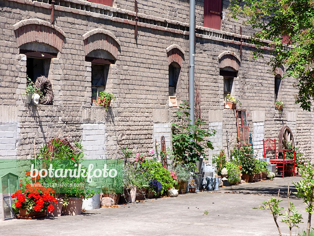 474429 - Barn with potted plants