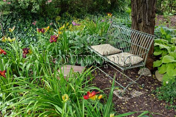 474107 - Bench in a perennial garden