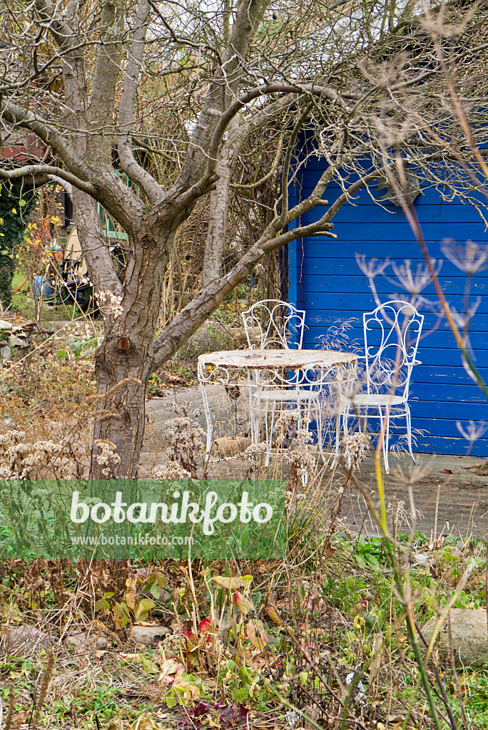 539001 - Blue garden house in a wintery allotment garden