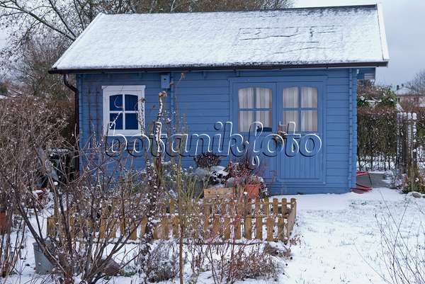 565048 - Blue garden house in a wintery allotment garden