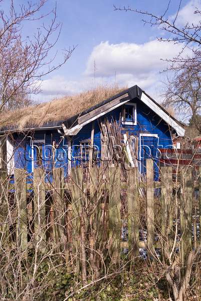 601014 - Blue garden house in a wintery allotment garden