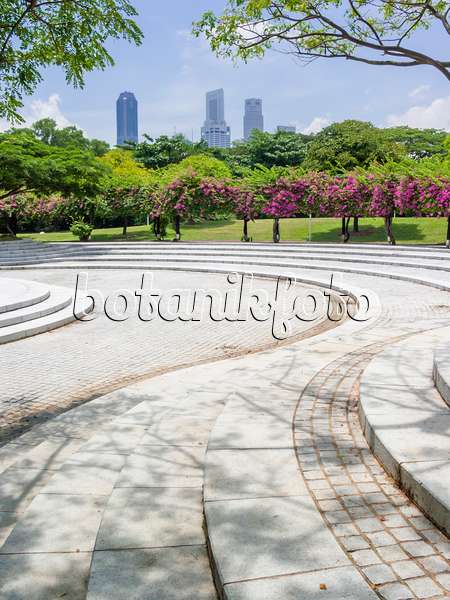 411052 - Bougainvillea behind a large square with stone stairs, Sundial Plaza, Marina City Park, Singapore
