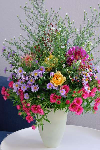 518017 - Bouquet avec asters et roses