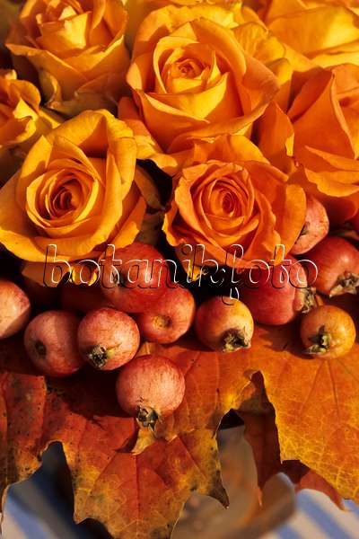 433225 - Bouquet avec des roses et des pommes