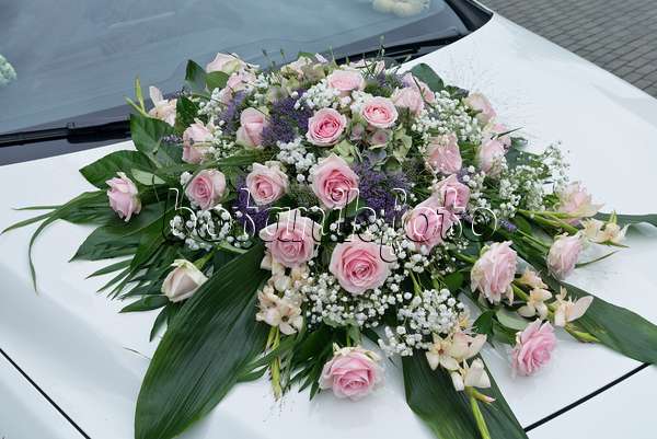 559023 - Bouquet de fleurs avec des rosiers (Rosa) et gypsophiles (Gypsophila)