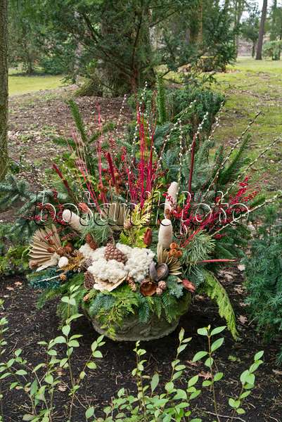 554017 - Bouquet funéraire de branches de sapin et de parties de plantes colorées
