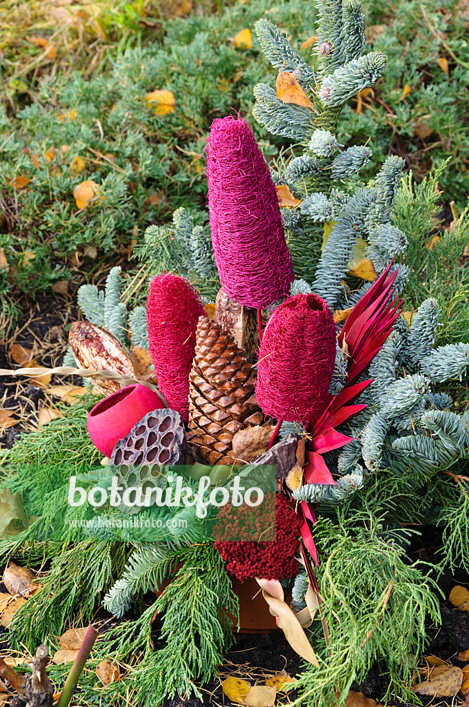 466034 - Bouquet funéraire de branches de sapin, de cônes et de parties de plantes colorées