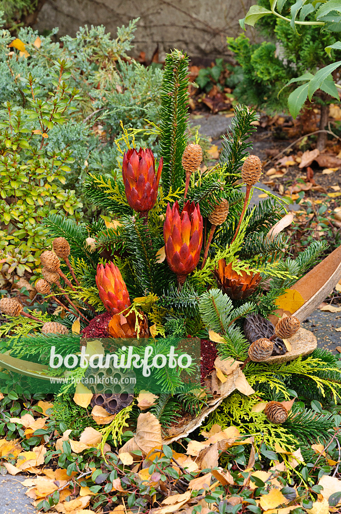 466040 - Bouquet funéraire de branches de sapin et de fleurs séchées