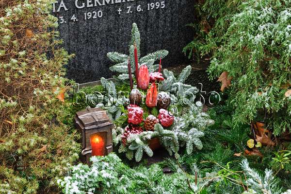 466076 - Bouquet funéraire de branches de sapin, de fleurs séchées et de parties de plantes colorées