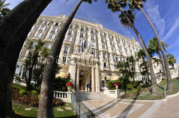 569005 - Carlton Hotel, Cannes, France