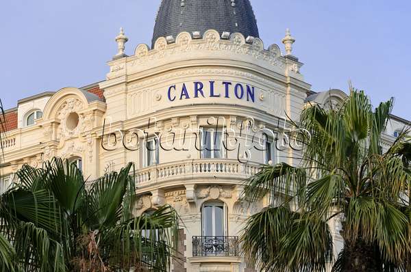 569019 - Carlton Hotel, Cannes, France
