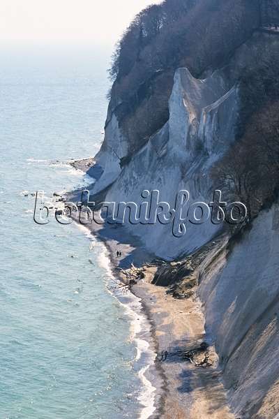 377041 - Chalk cliff, Jasmund National Park, Rügen, Germany